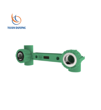 TÊ REN TRONG + CO REN TRONG 